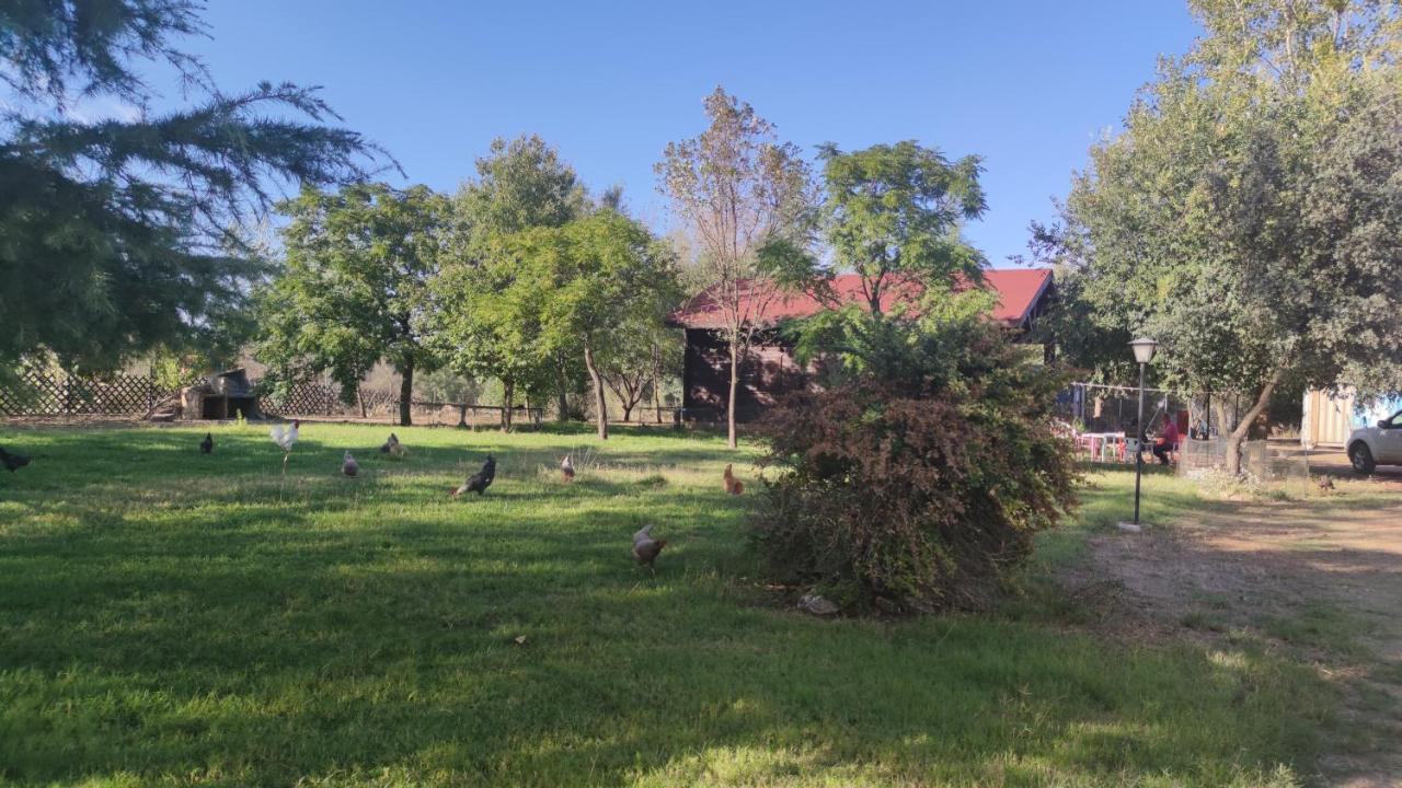 Casas Rurales Tabla Honda El Robledo  外观 照片
