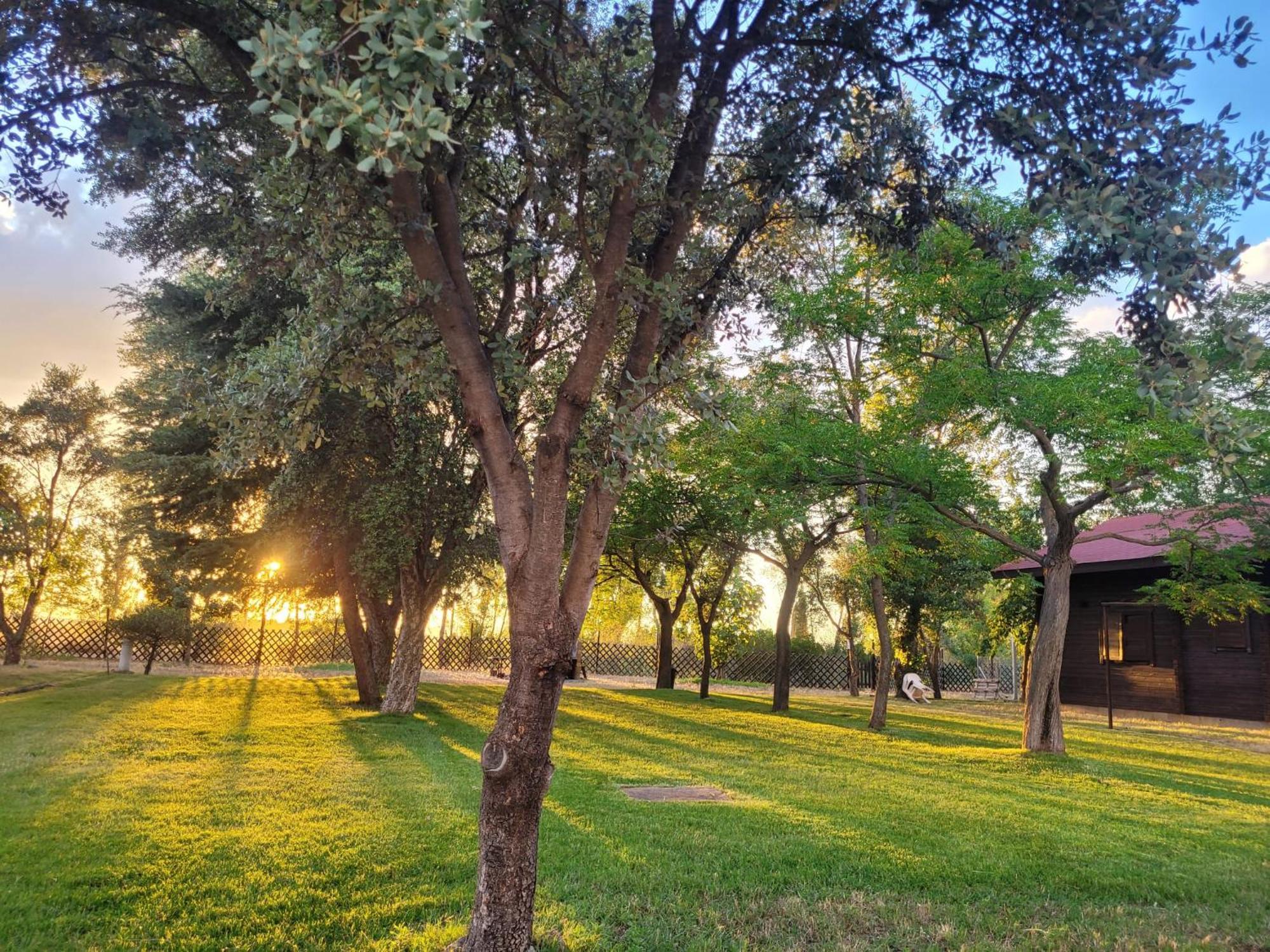Casas Rurales Tabla Honda El Robledo  外观 照片